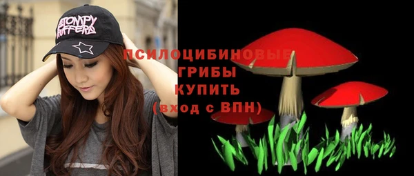Альфа ПВП Армянск