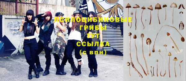 Альфа ПВП Армянск